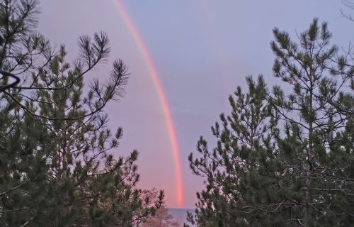 WBCC rainbow IMG_20260428_062039